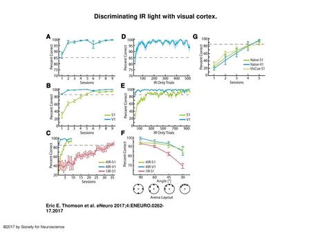 Discriminating IR light with visual cortex.