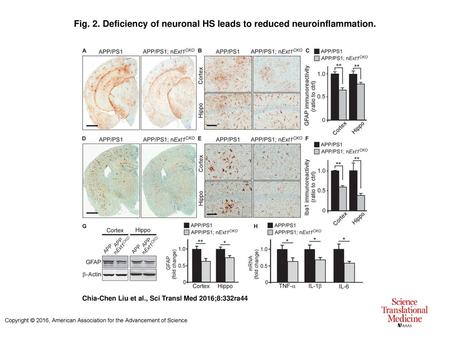 Fig. 2. Deficiency of neuronal HS leads to reduced neuroinflammation.