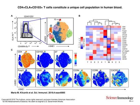 CD4+CLA+CD103+ T cells constitute a unique cell population in human blood. CD4+CLA+CD103+ T cells constitute a unique cell population in human blood. (A)