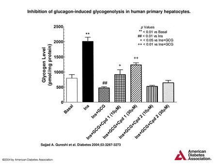 Inhibition of glucagon-induced glycogenolysis in human primary hepatocytes. Inhibition of glucagon-induced glycogenolysis in human primary hepatocytes.